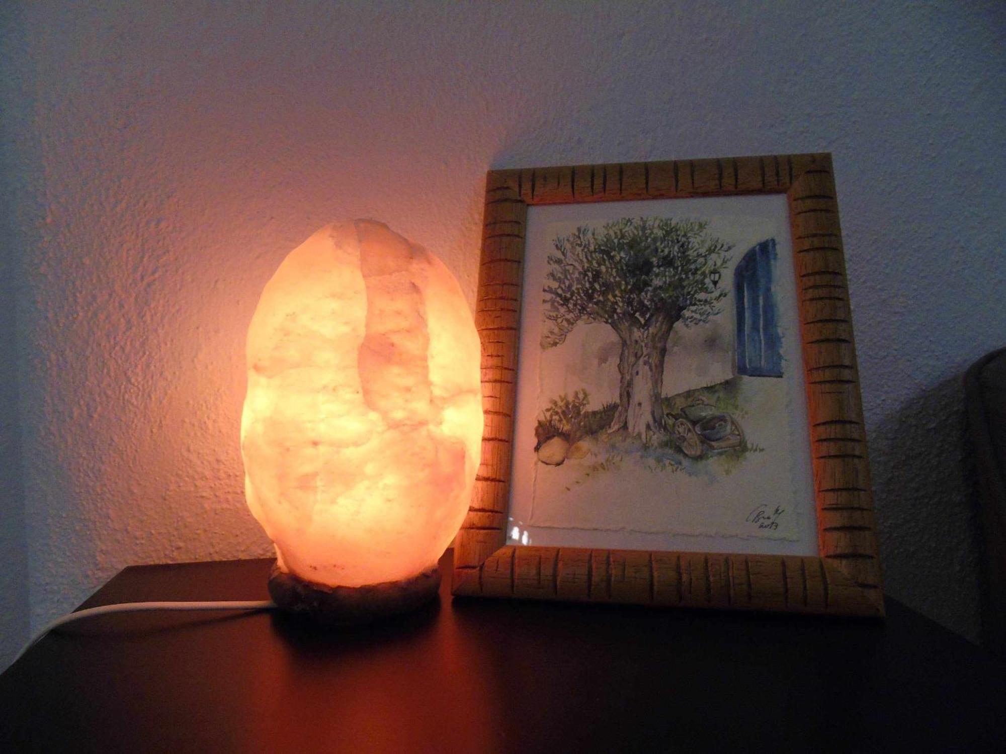 バサ Cuevas Andaluciaゲストハウス 部屋 写真